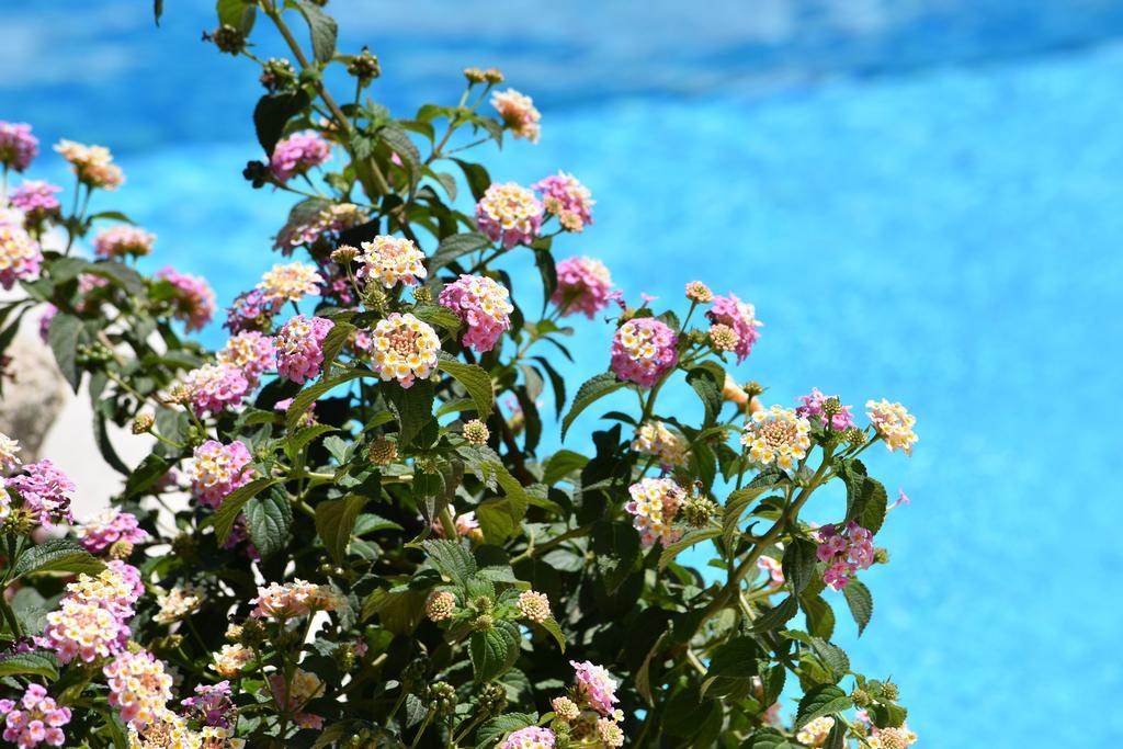 Affittacamere B&B La Villa Dei Graniti Villasimius Extérieur photo